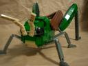 locust04.jpg