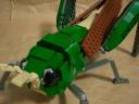 locust05.jpg