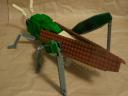 locust08.jpg