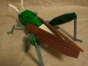 locust09.jpg