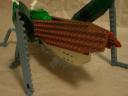 locust11.jpg