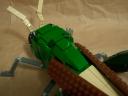 locust12.jpg