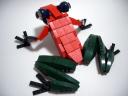 frog3.jpg