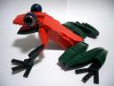 frog4.jpg