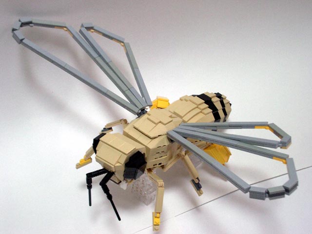 honeybee01.jpg