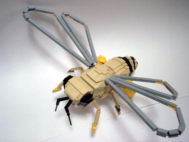 honeybee08.jpg