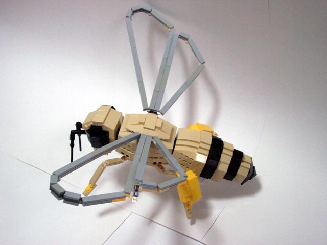 honeybee10.jpg
