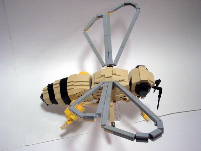 honeybee15.jpg