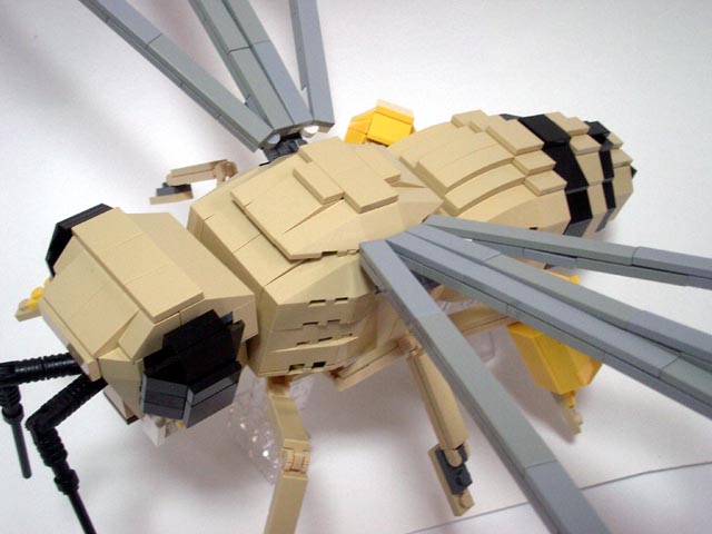 honeybee17.jpg