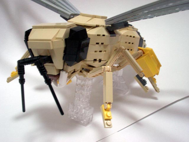 honeybee18.jpg