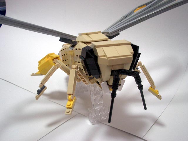 honeybee19.jpg