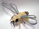 honeybee01.jpg