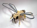 honeybee06.jpg