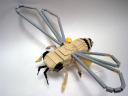 honeybee08.jpg