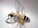 honeybee10.jpg