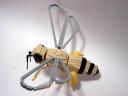 honeybee11.jpg