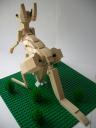 kangaroo2-2.jpg