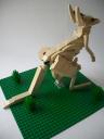 kangaroo2.jpg
