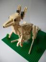 kangaroo7.jpg