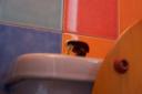 000_0023.jpg