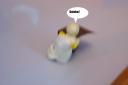 000_0027.jpg