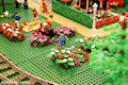 dsc04156.jpg