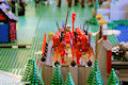 dsc04464.jpg