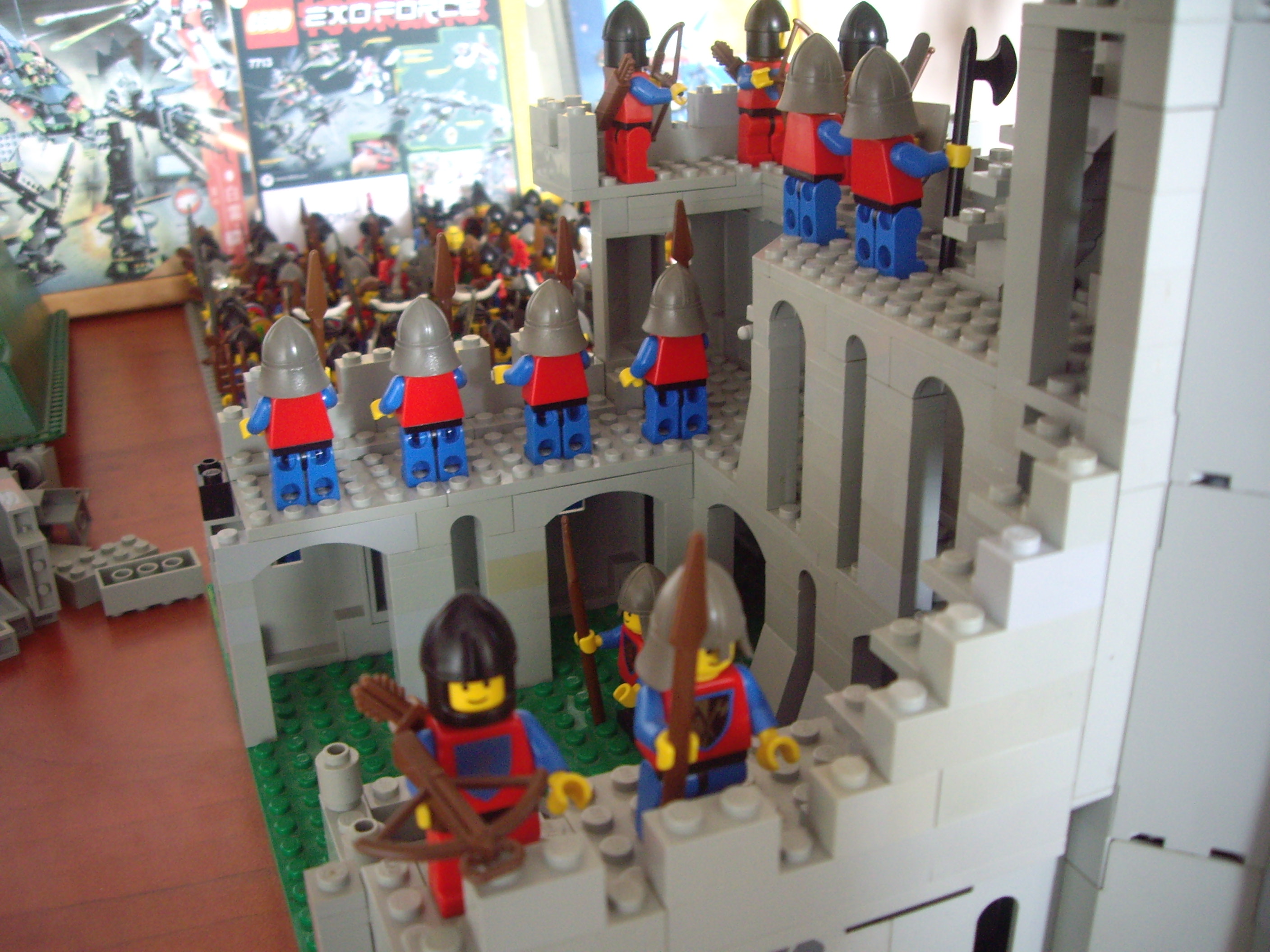 imgp0502.jpg