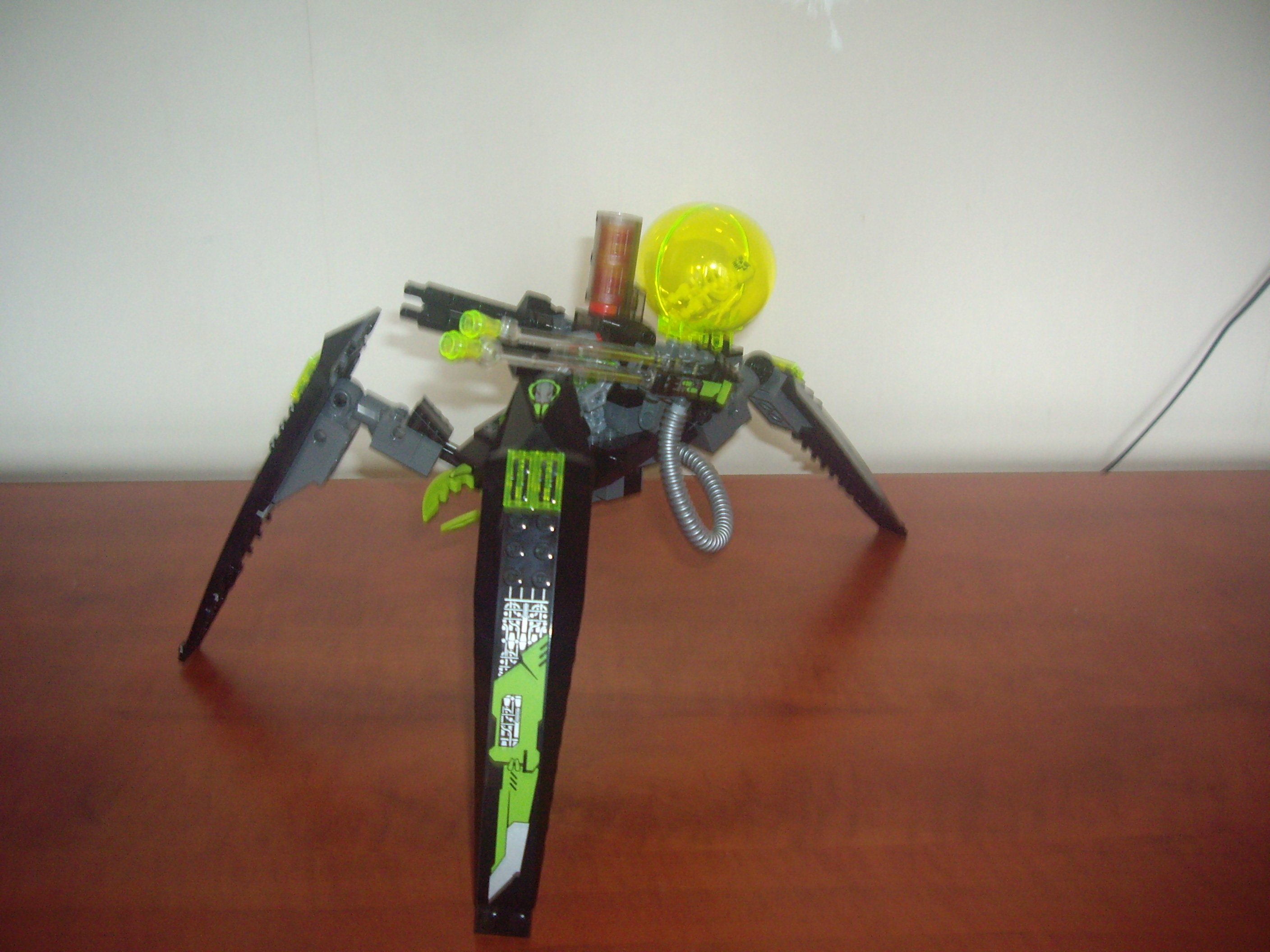 imgp6318.jpg
