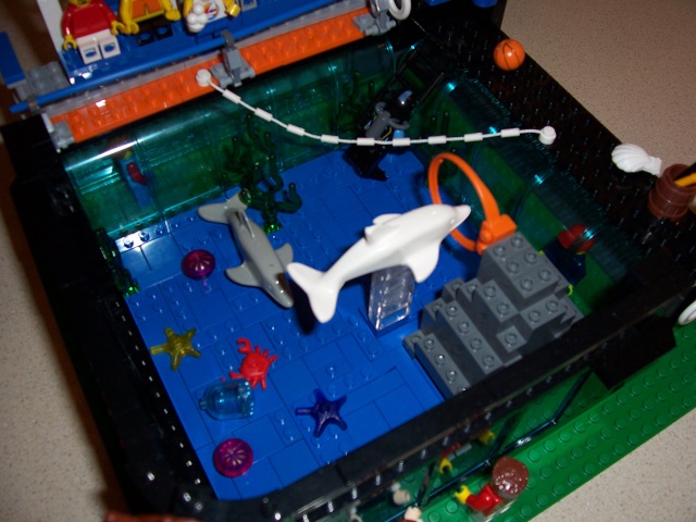 102_4123.jpg