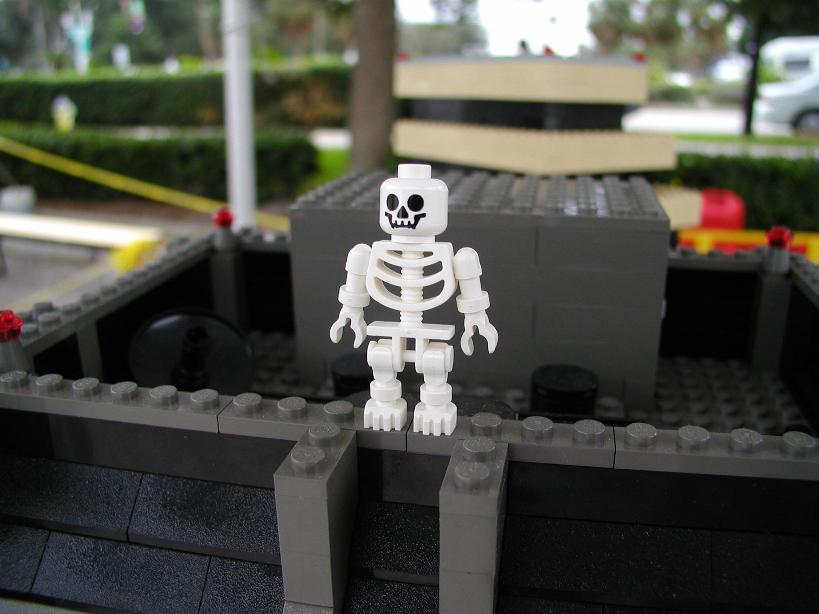 skeleton05.jpg