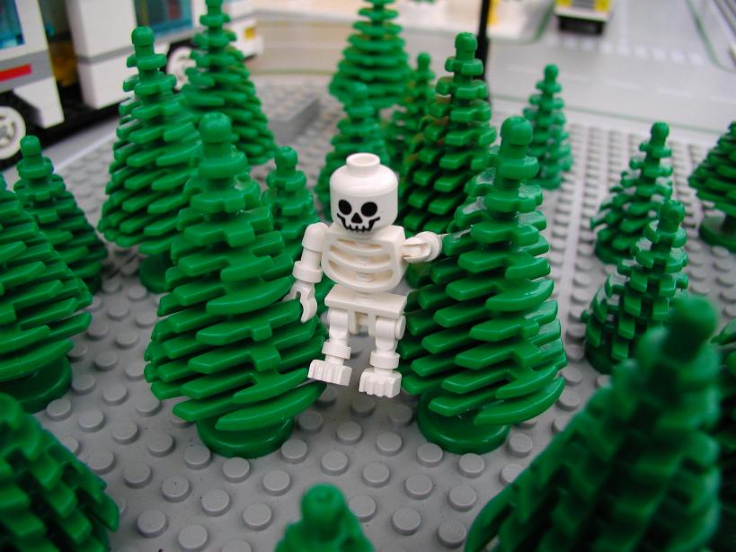 skeleton06.jpg