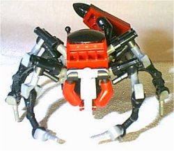 fiddlercrab8.jpg