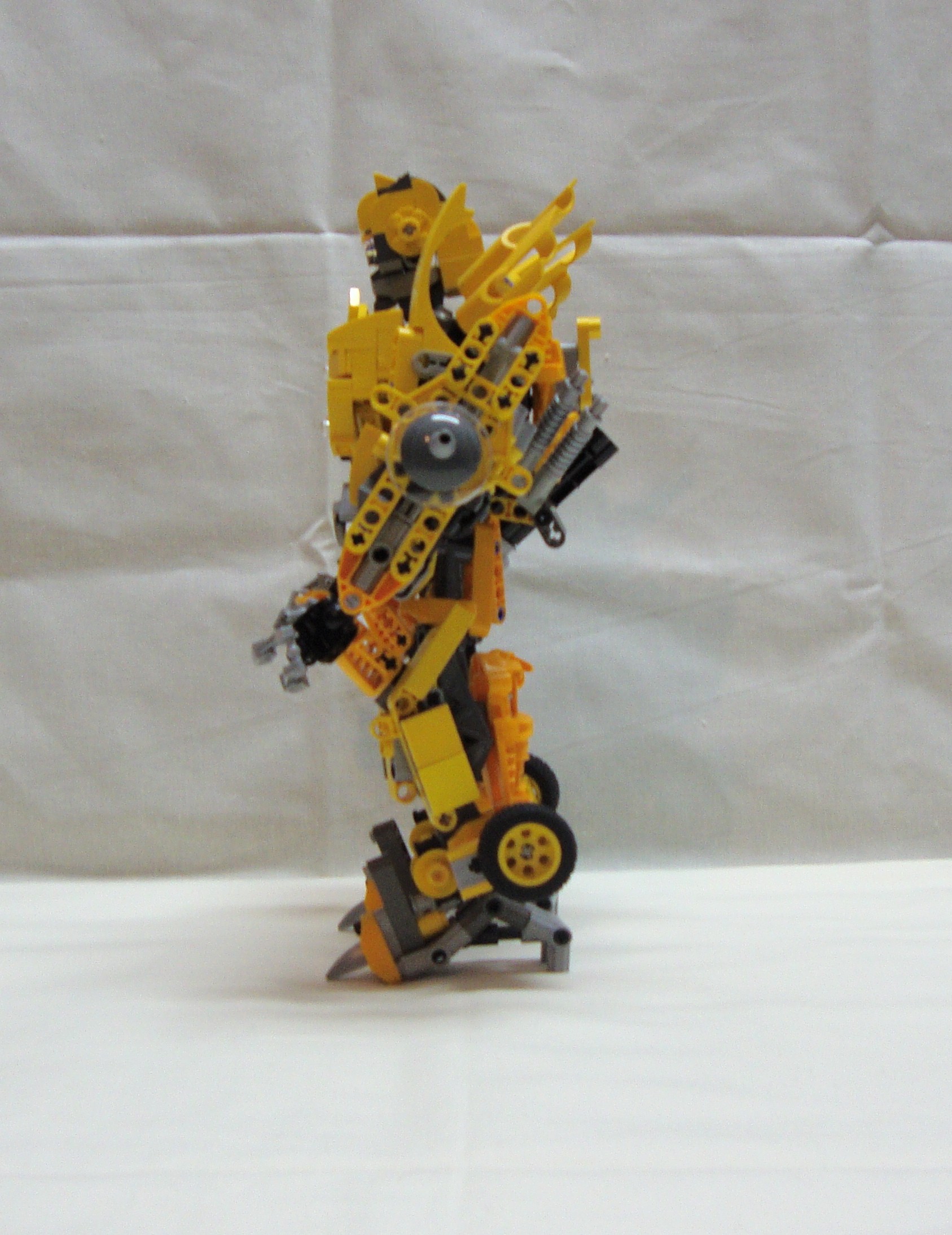 bumblebee-003.jpg