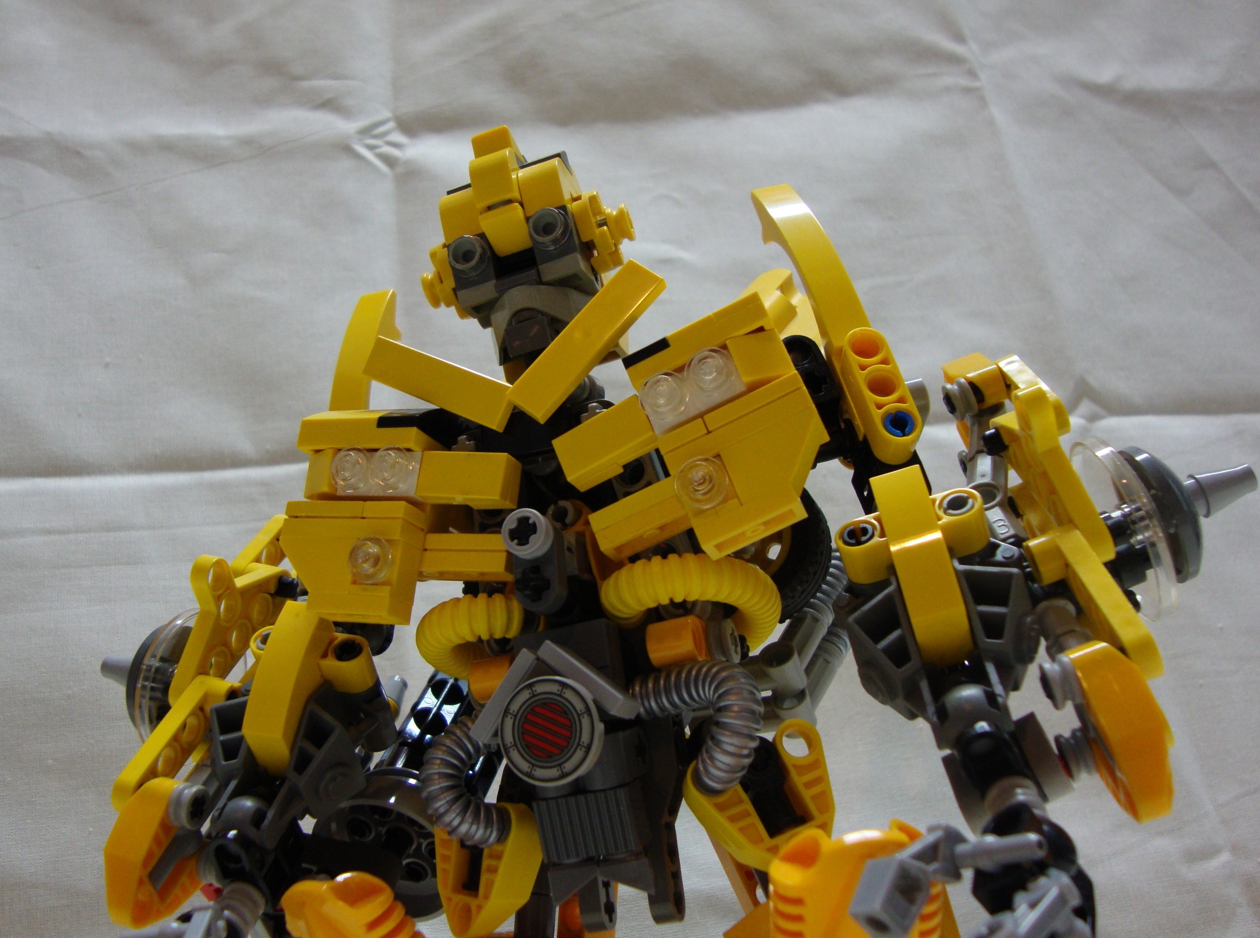 bumblebee-007.jpg