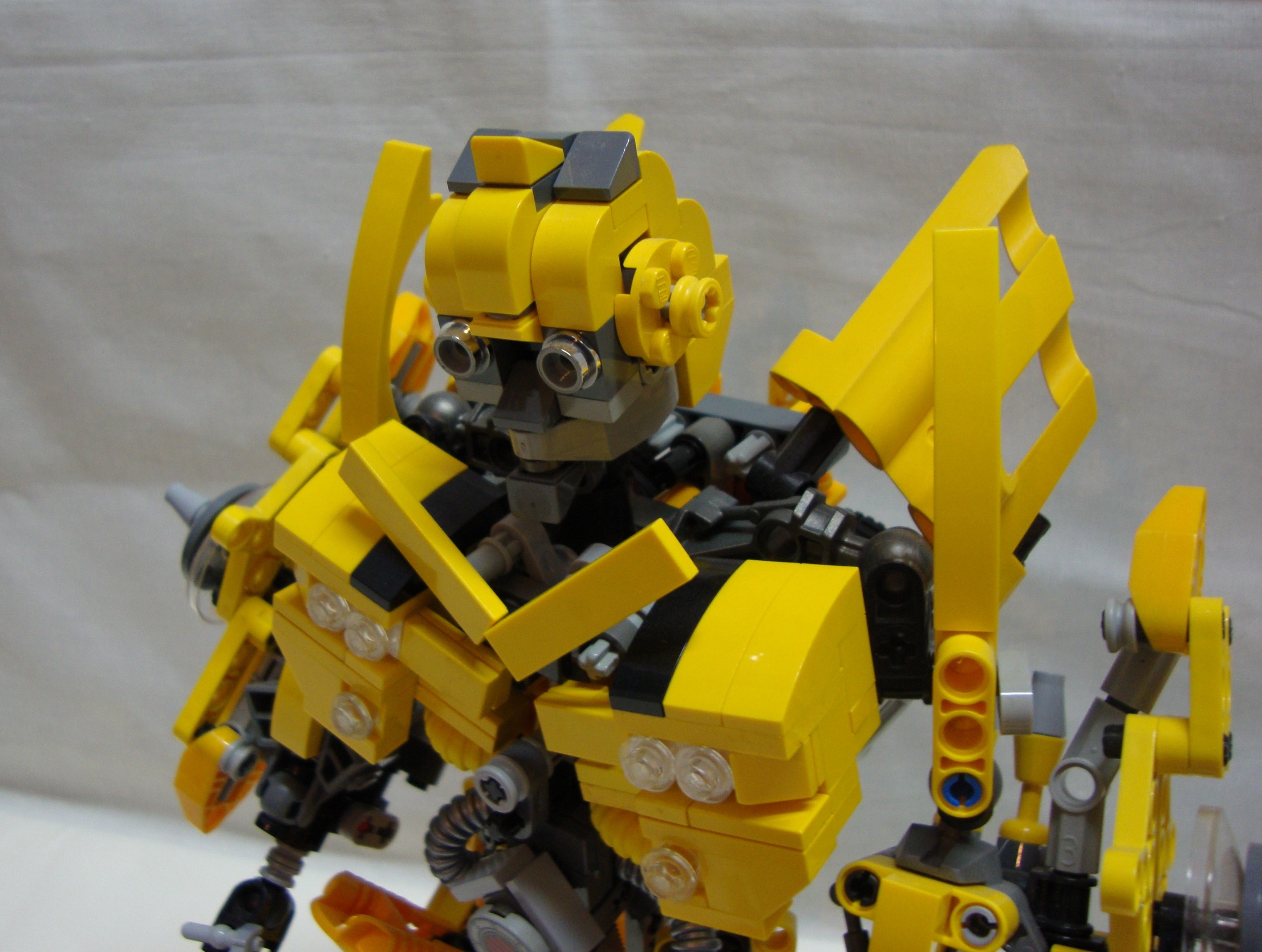 bumblebee-008.jpg