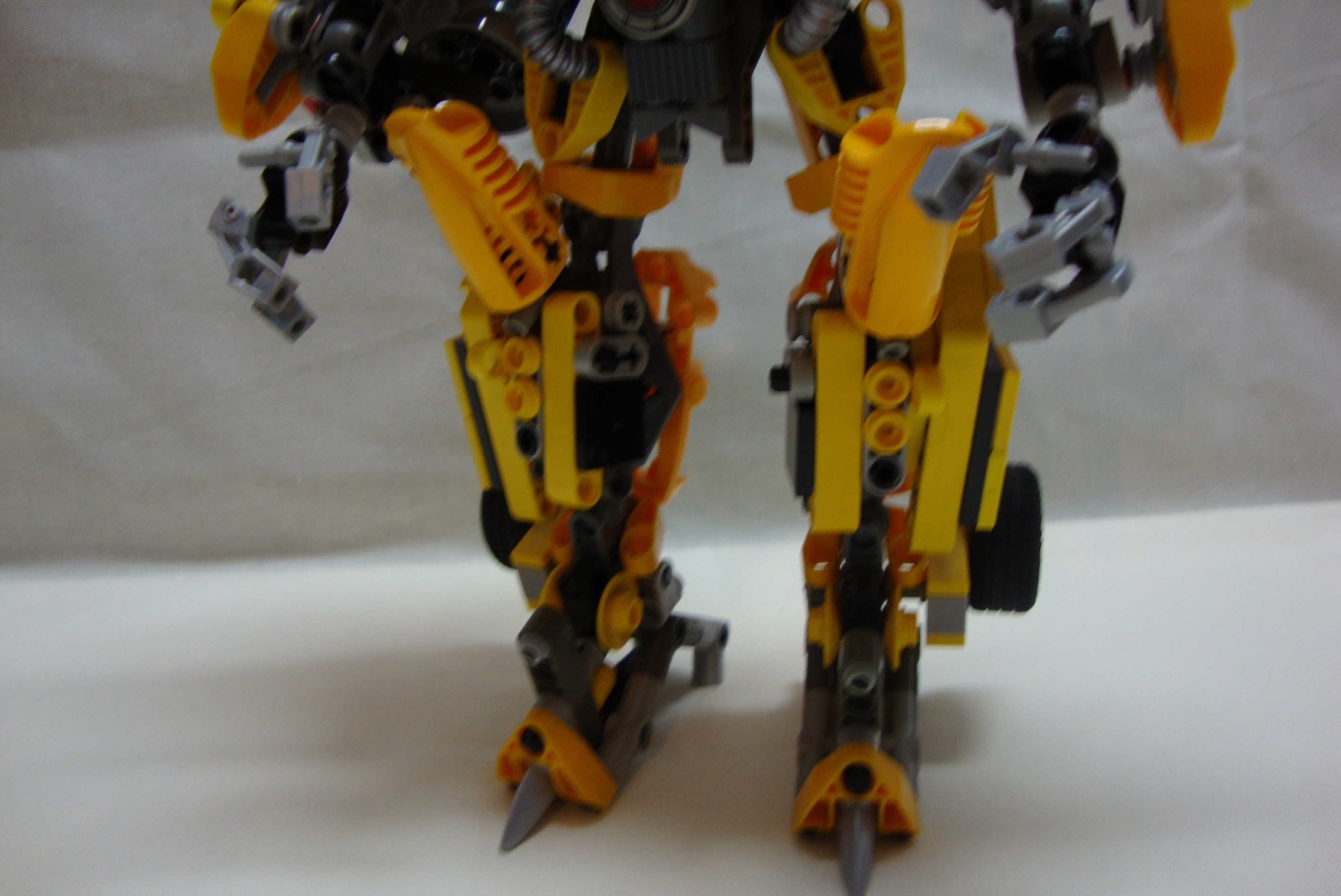 bumblebee-009.jpg