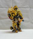 bumblebee-006.jpg