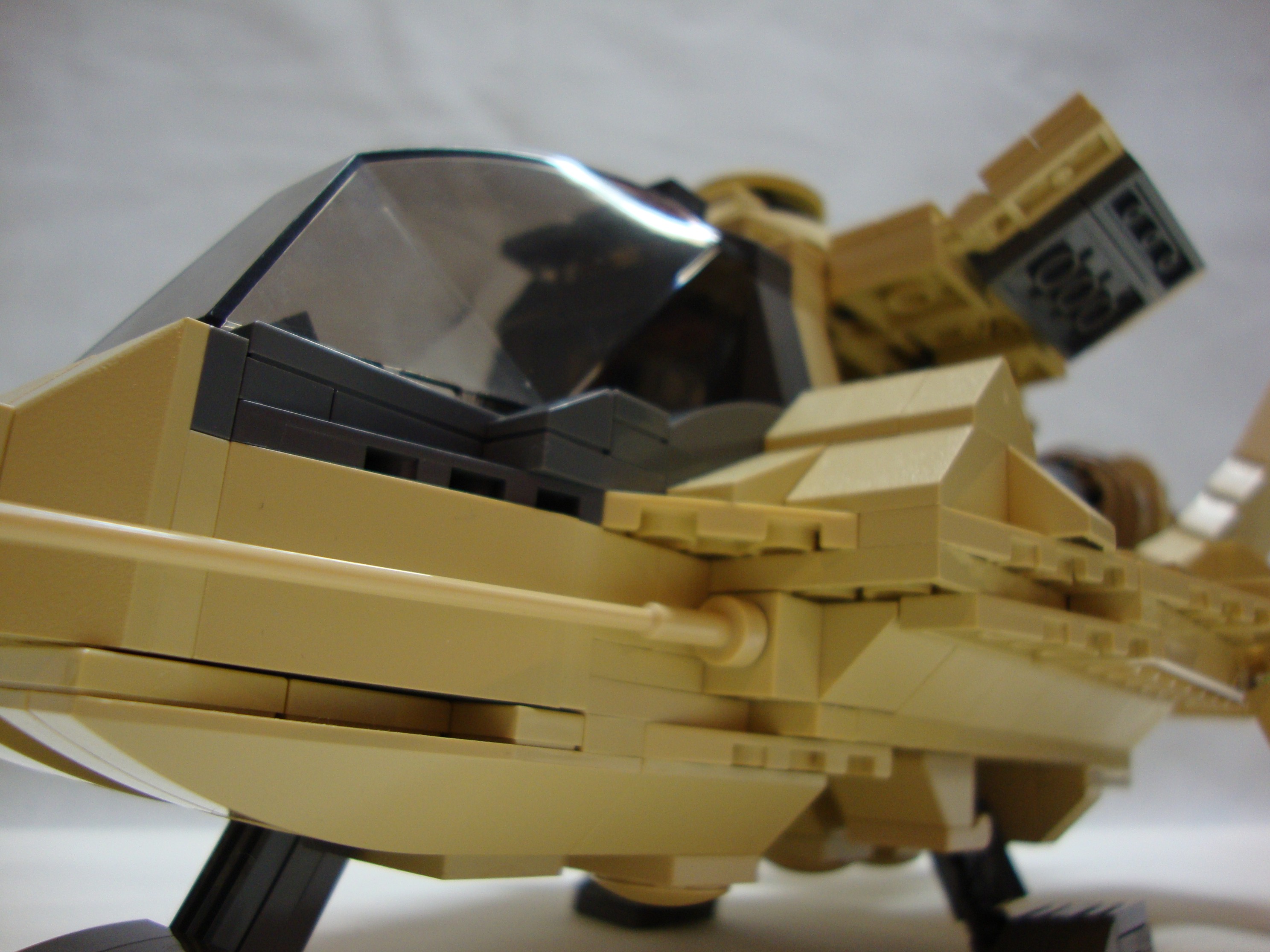 raptor-010.jpg