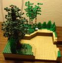 dsc01774.jpg