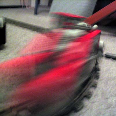 z02.jpg