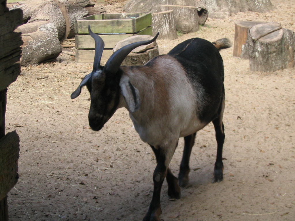 z0033.jpg
