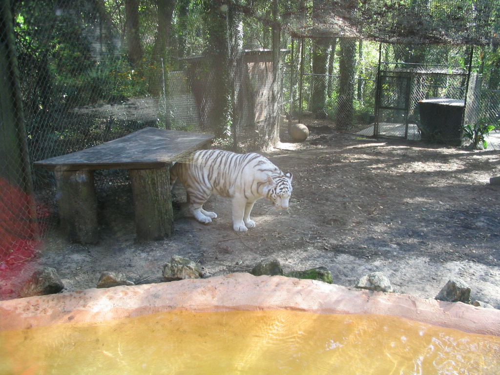 z0054.jpg