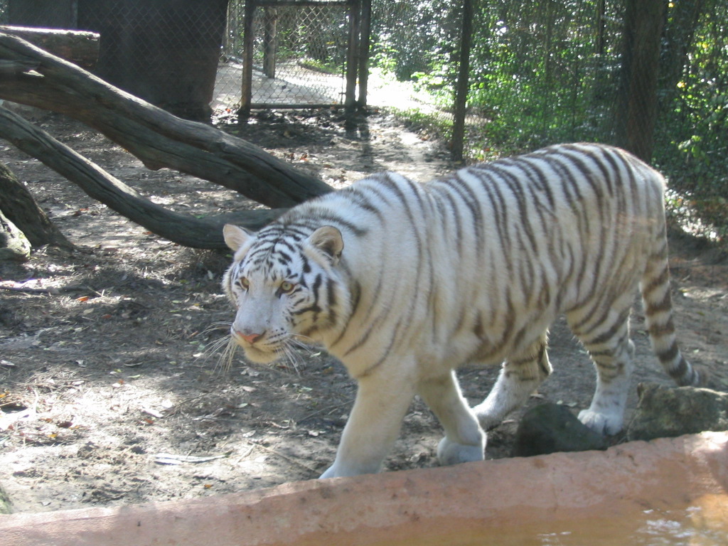 z0056.jpg