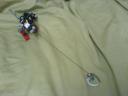 dsc00745.jpg