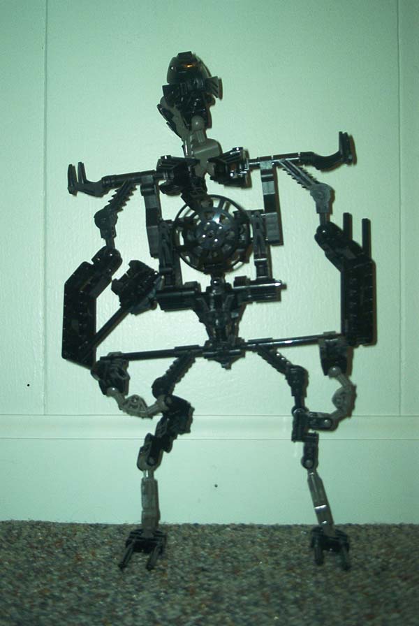 makuta1.jpg