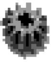 gear2.gif