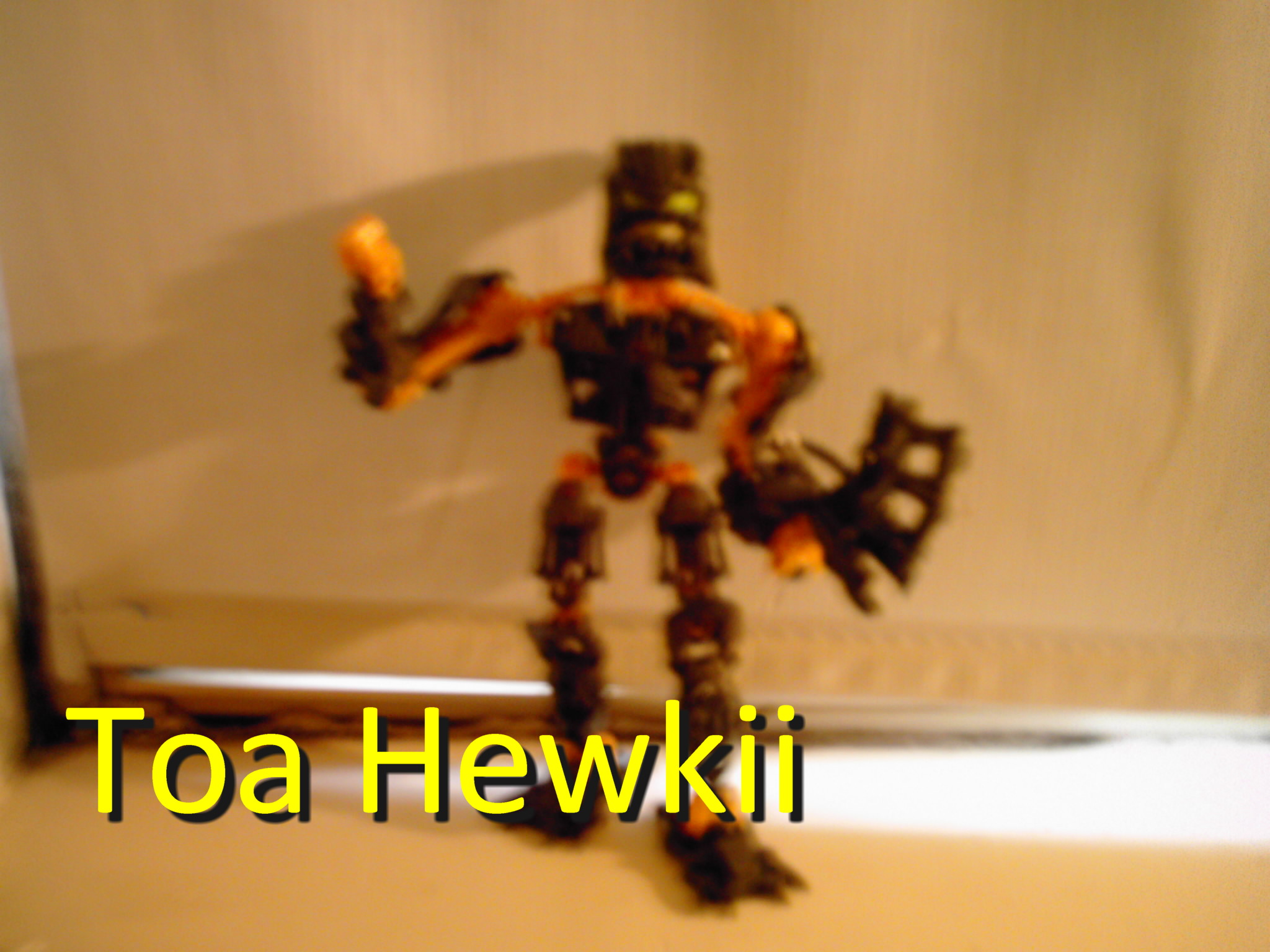 hewkii_1.jpg