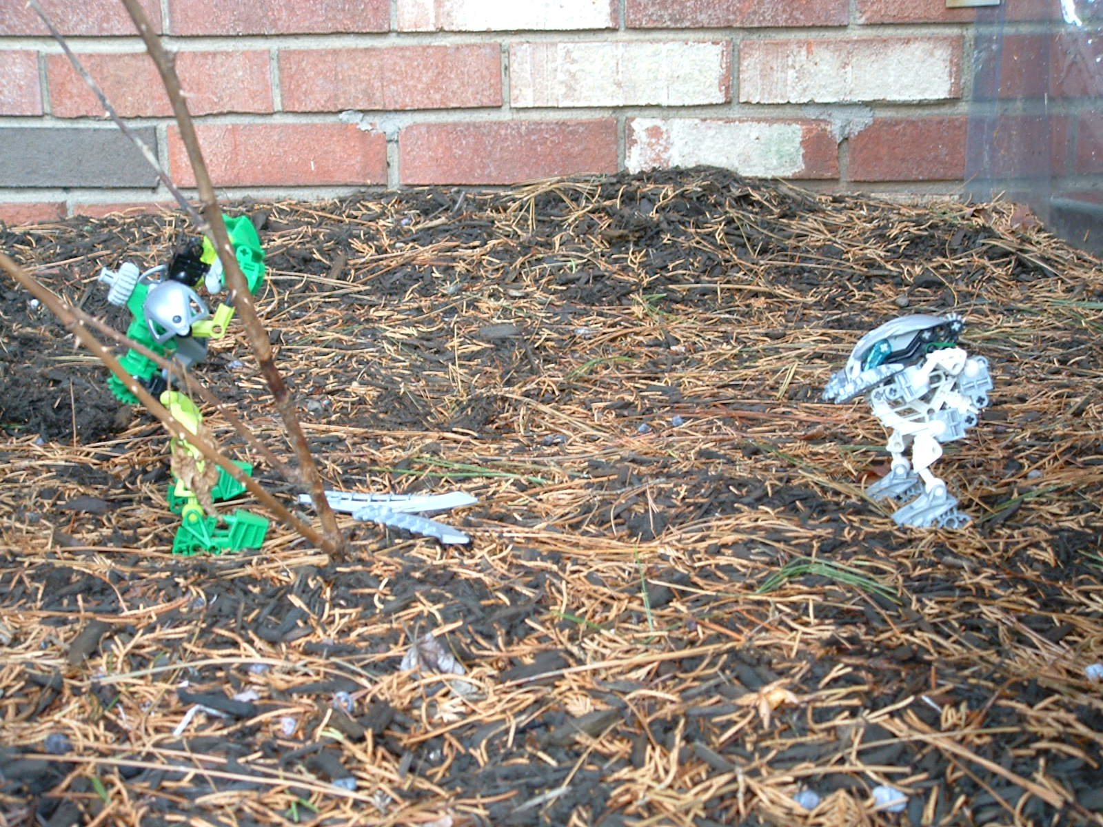 bionicle_photos_3_011.jpg