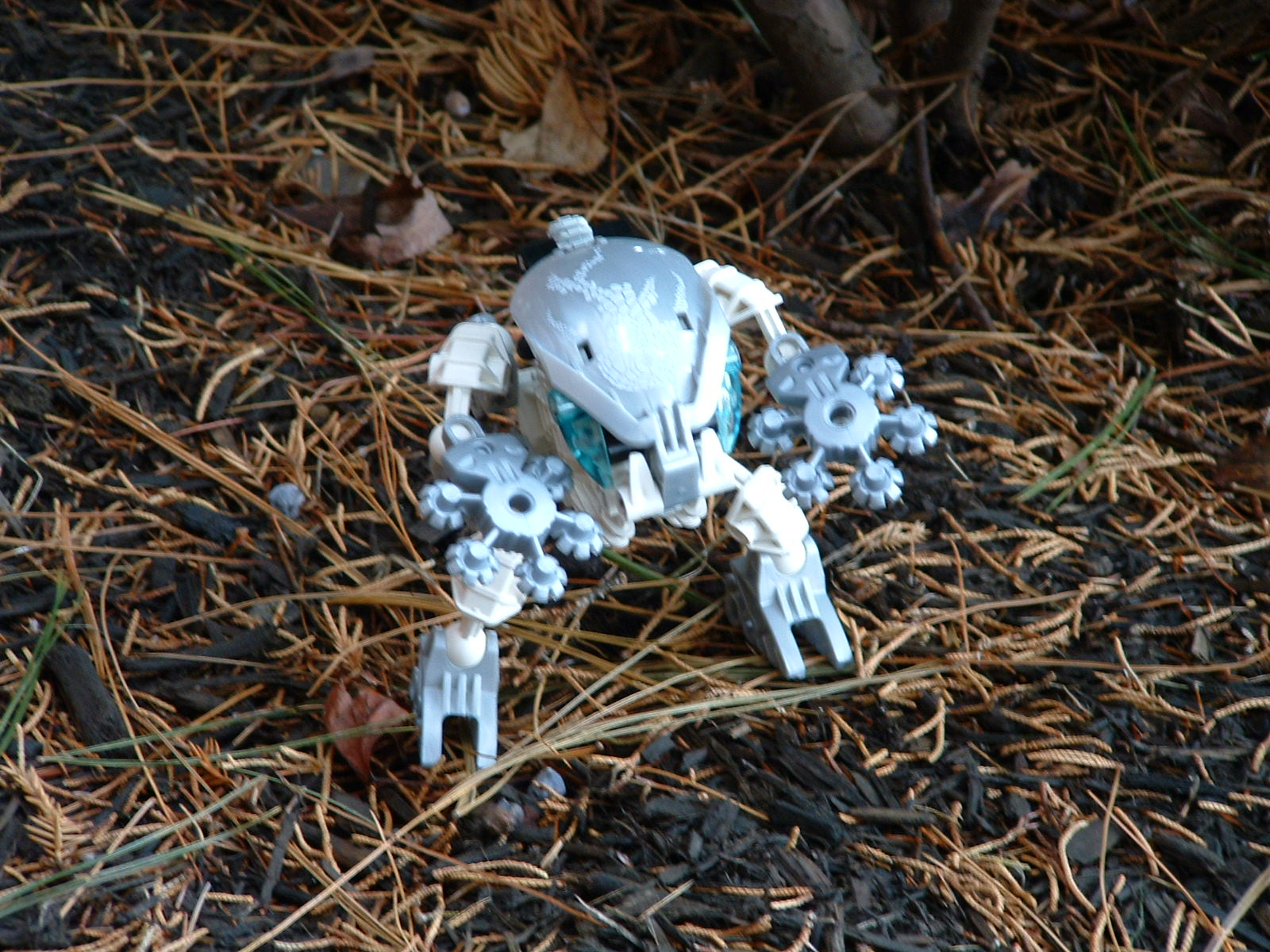 bionicle_photos_3_017.jpg
